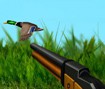 The Duck Hunter 